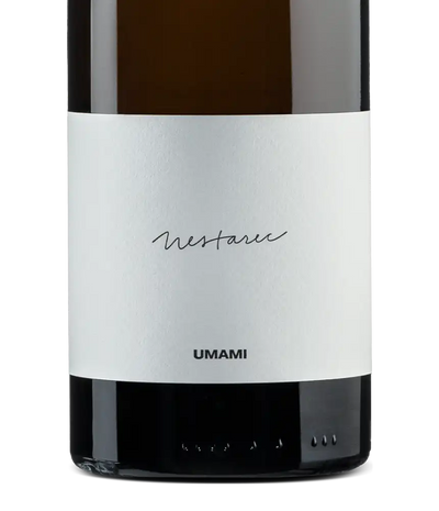 Milan Nestarec Umami 2021 Cover