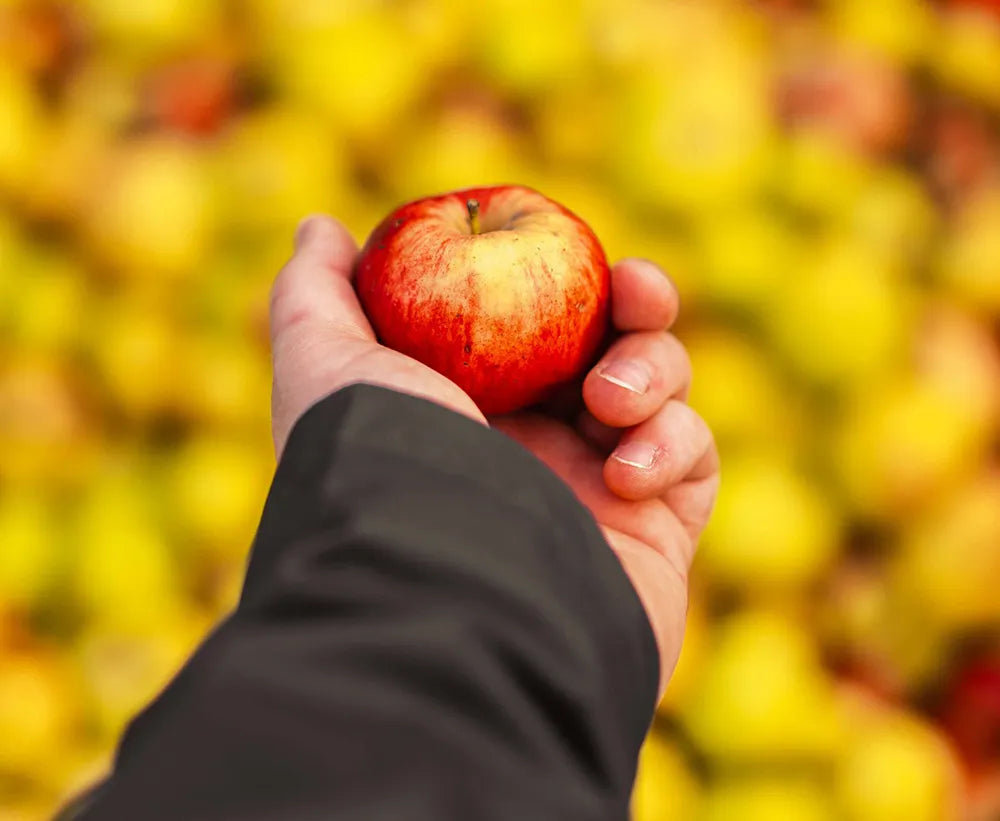 Cyprien Lireux Apple
