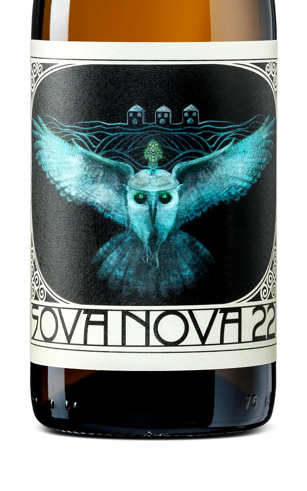 Raj SovaNova 2022 Cover