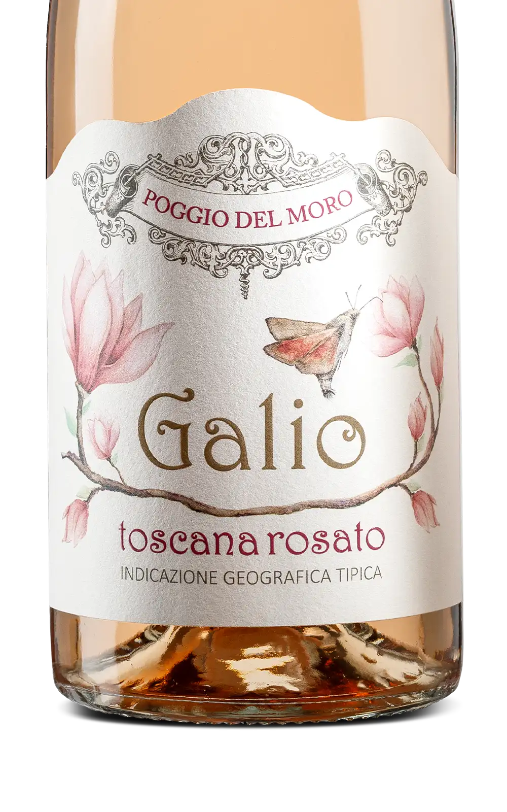 Poggio del Moro Galio 2022 Cover