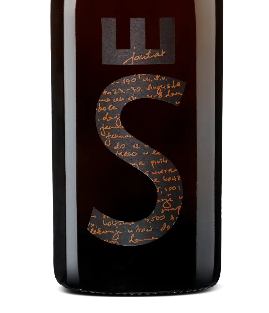 Baša Jantar 2019 Cover