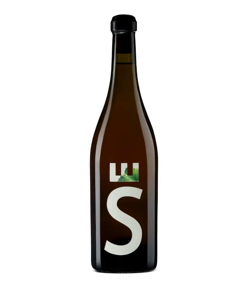 Baša Tamjanika 2021