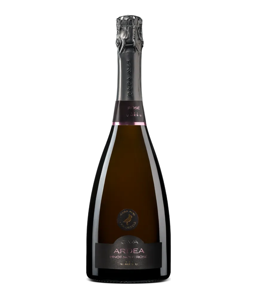 Cava Ardea Pinot Noir Rose Brut NV