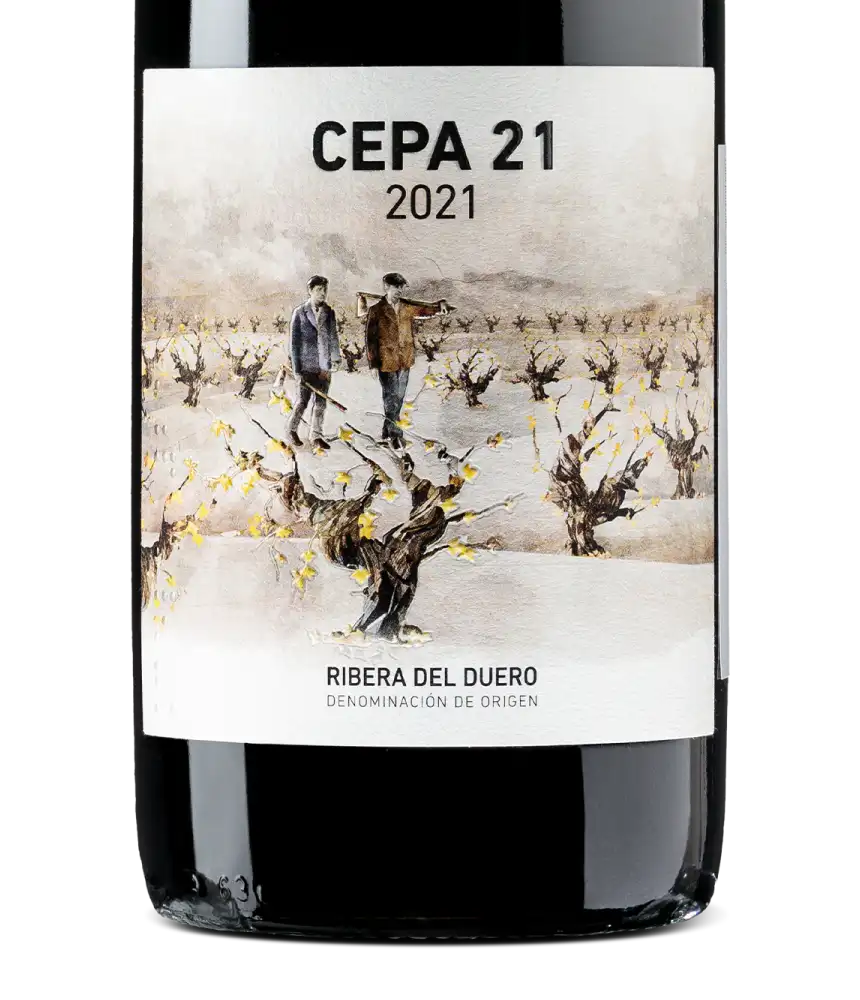 Cepa 21 2021 Cover