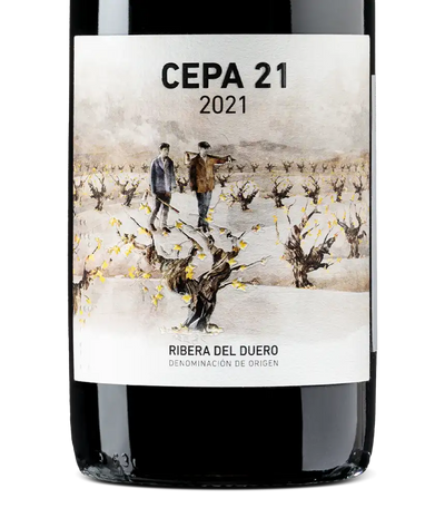 Cepa 21 2021 Cover