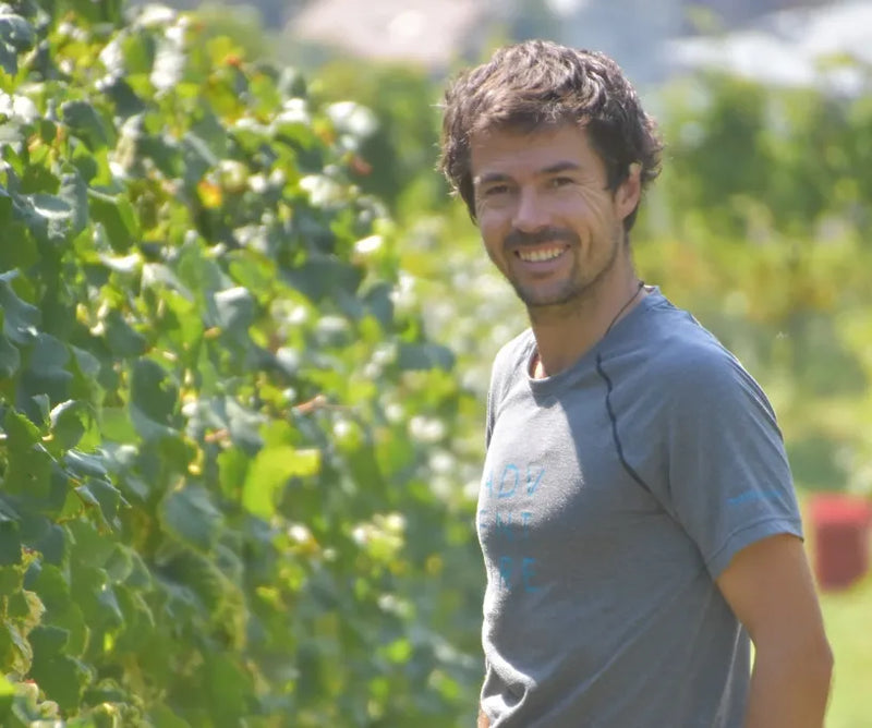 Domaine l'Accent