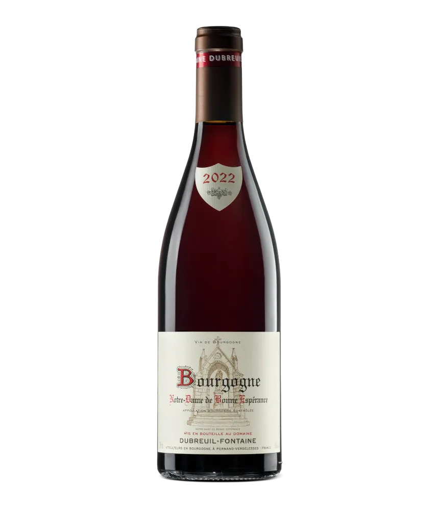 Domaine Dubreuil-Fontaine Bourgogne Notre-Dame de Bonne Espérance 2022