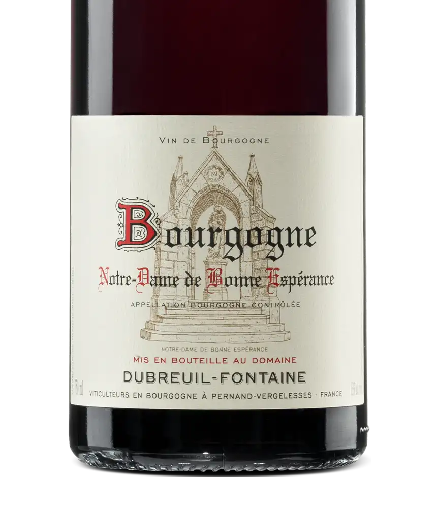 Domaine Dubreuil-Fontaine Bourgogne Notre-Dame de Bonne Espérance 2022 Cover
