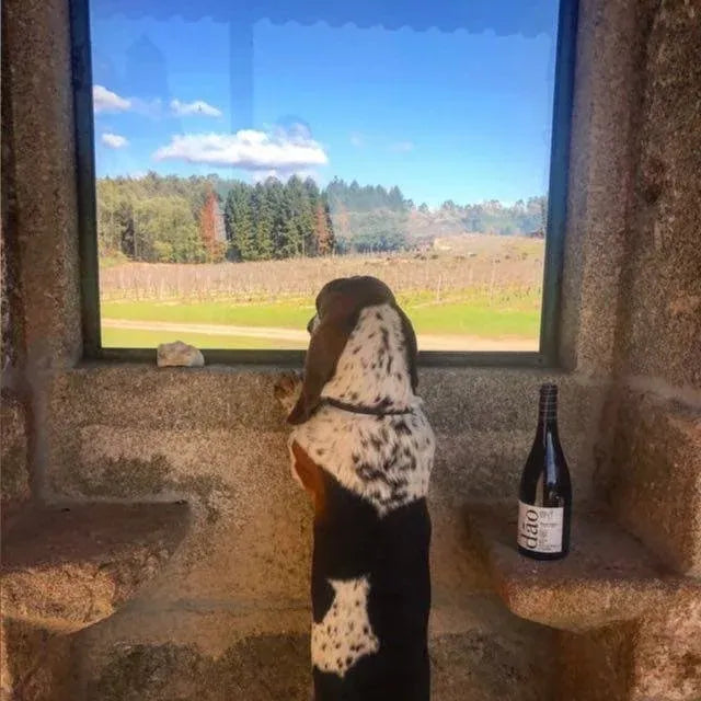 Quinta de Saes