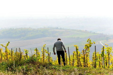 Srpsko vino