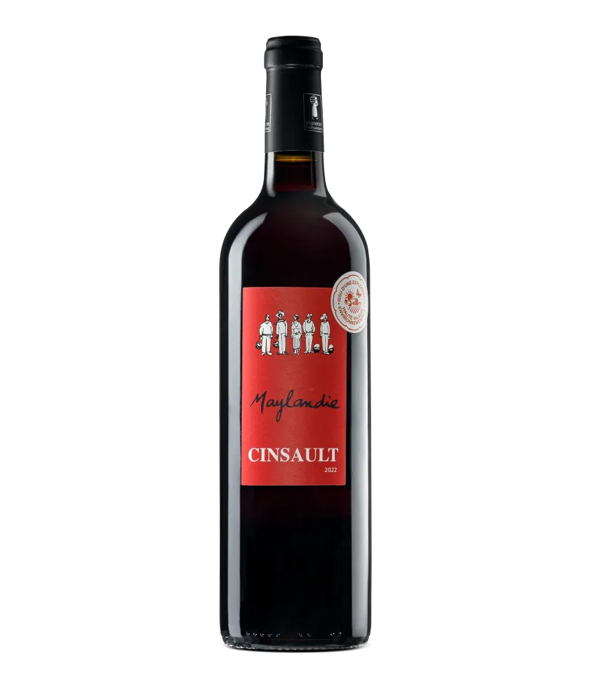 Maylandie Cinsault 2022