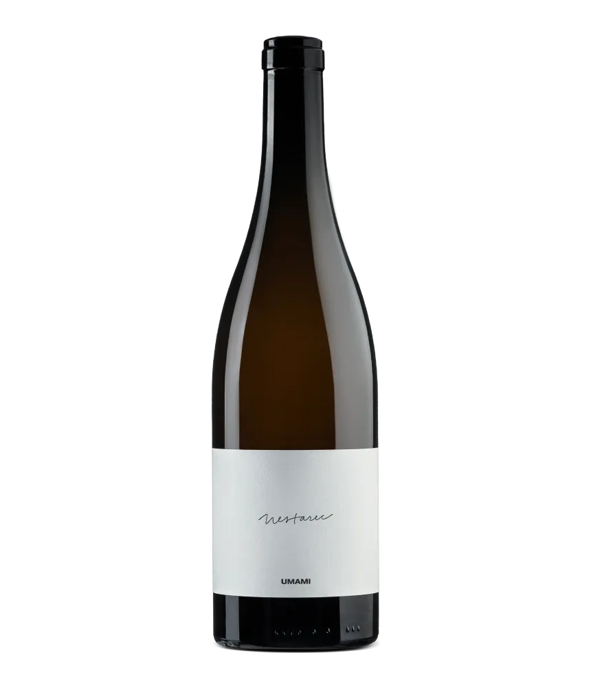 Milan Nestarec Umami 2021