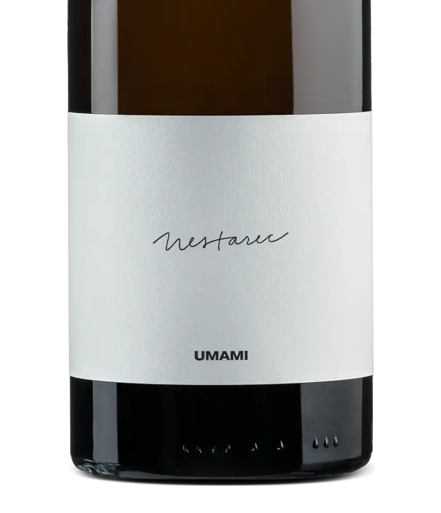 Milan Nestarec Umami 2021 Cover