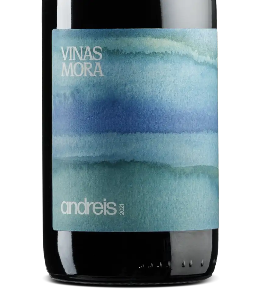 Vinas Mora Andreis 2021 Cover