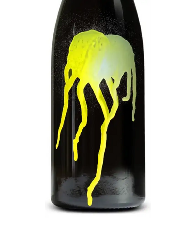 Nestarec Hedonista 2025 Cover