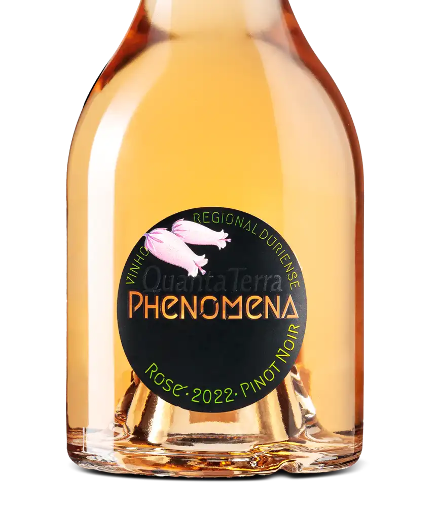 Quinta Terra Phenomena Rose 2022 Cover