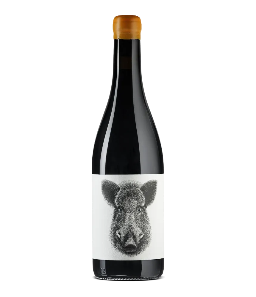 Casa Rojo Enemigo Mio 2022