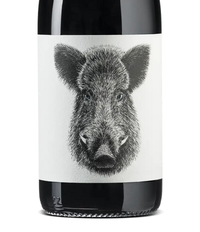 Casa Rojo Enemigo Mio 2022 Cover