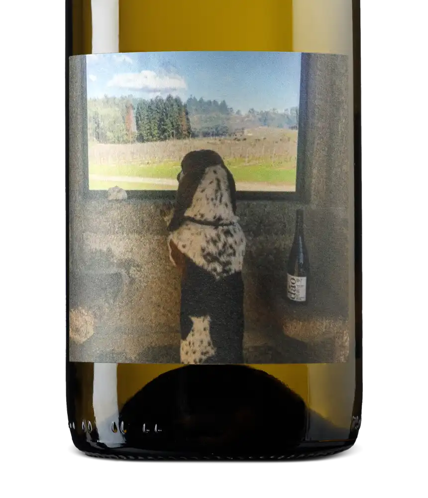 Quinta de Saes Tobias Cerceal 2023 Cover