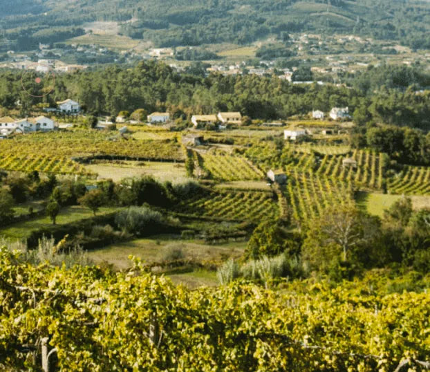 Quinta do Regueiro