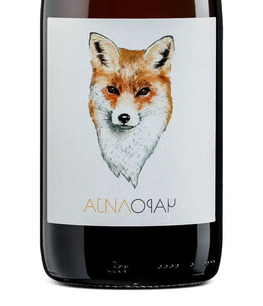 Aleksandar Todorović Čarolija 2021 Cover