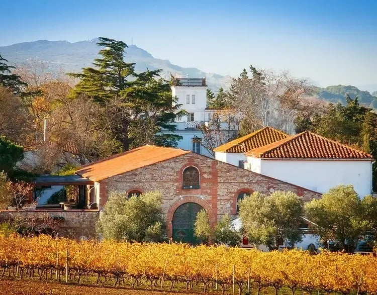 Vignobles Rombeau