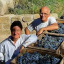 Francuska vinarija