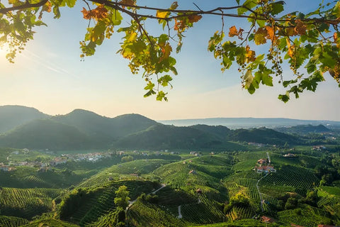 Prosecco