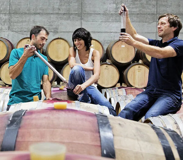Conceito Vinhos