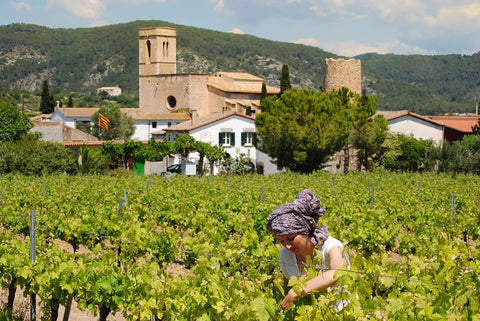 Špansko vino