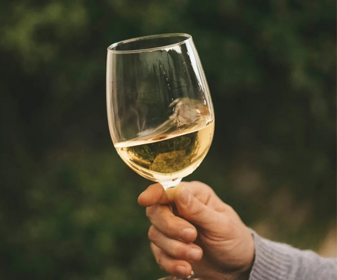 Belo vino