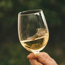 Belo vino za svačiji ukus